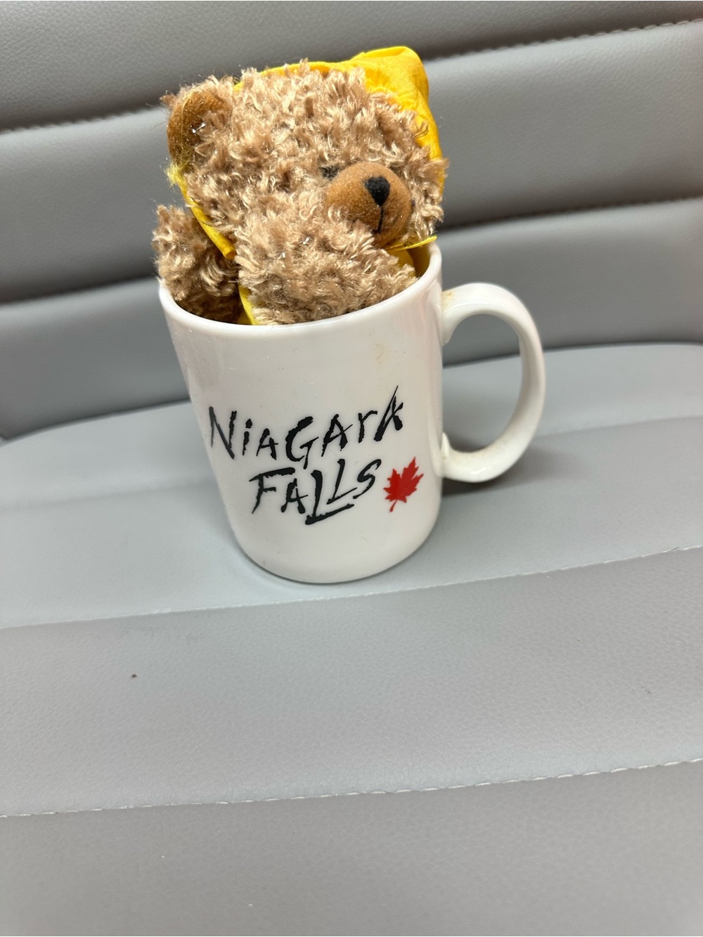 Niagara Falls White Souvenir Mug with Teddy Bear